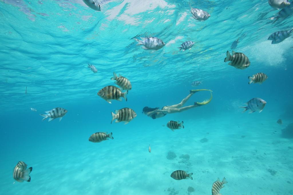 Sofitel Bora Bora Private Island Hotel Ngoại thất bức ảnh